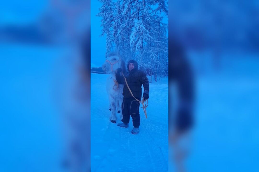 elgetsksh_5