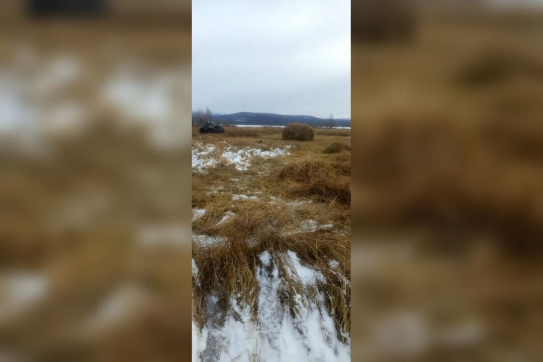 elgetsksh_8
